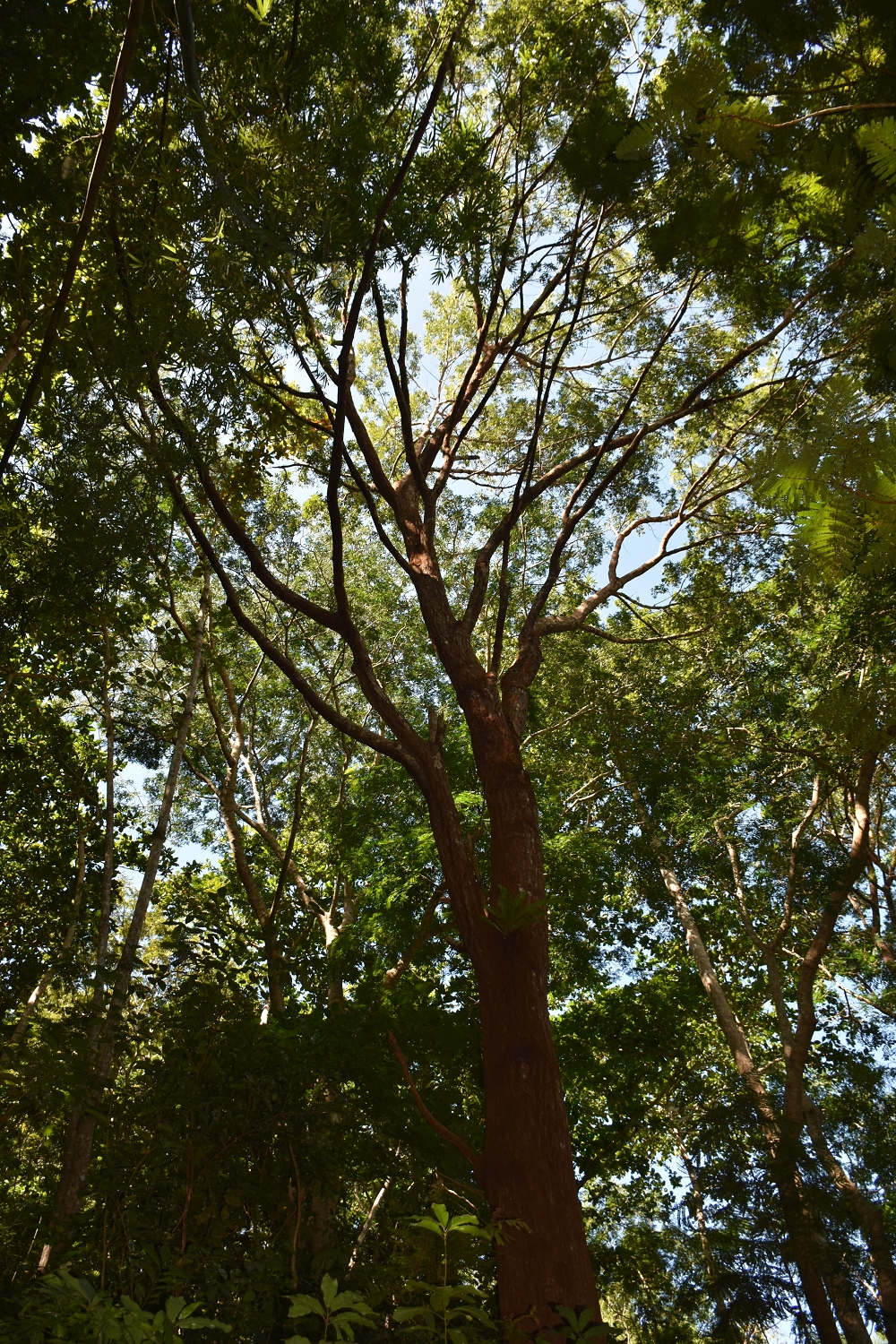 Mayotte