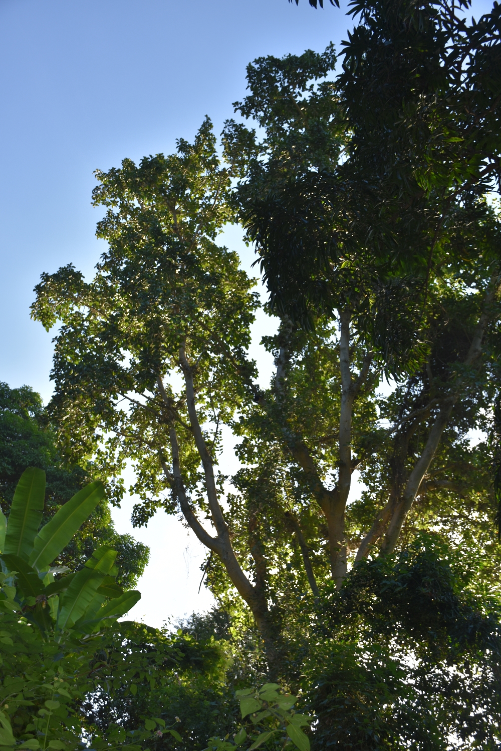 Mayotte