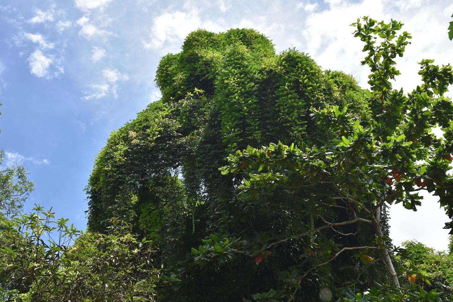 Mayotte