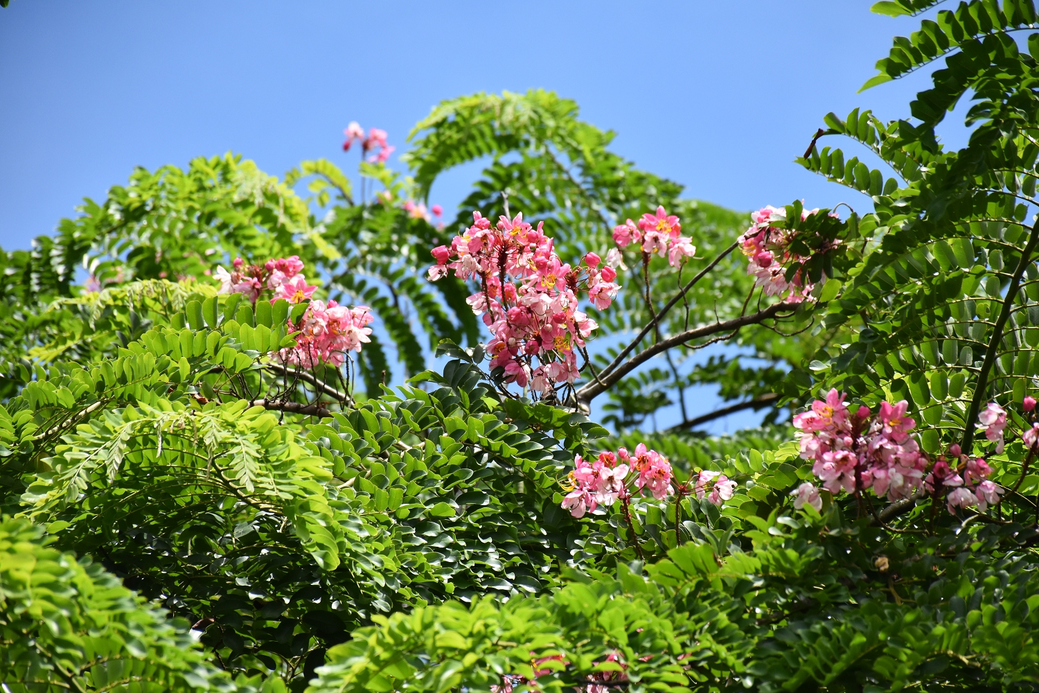 Mayotte