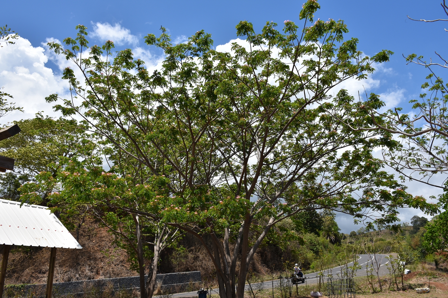 Mayotte