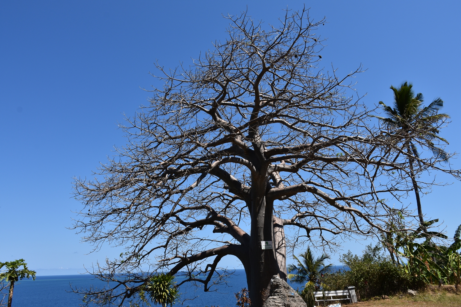 Mayotte