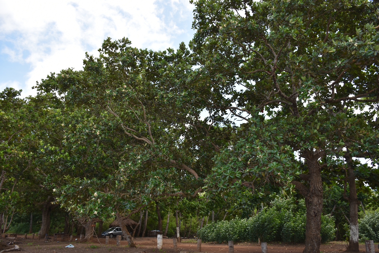 Mayotte