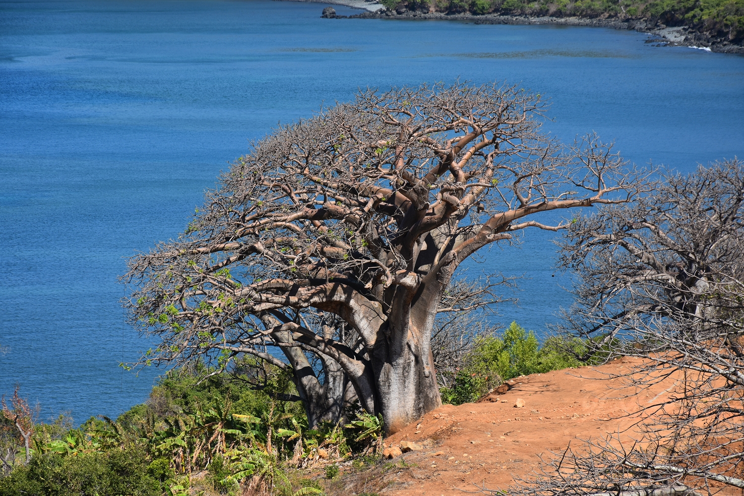 Mayotte