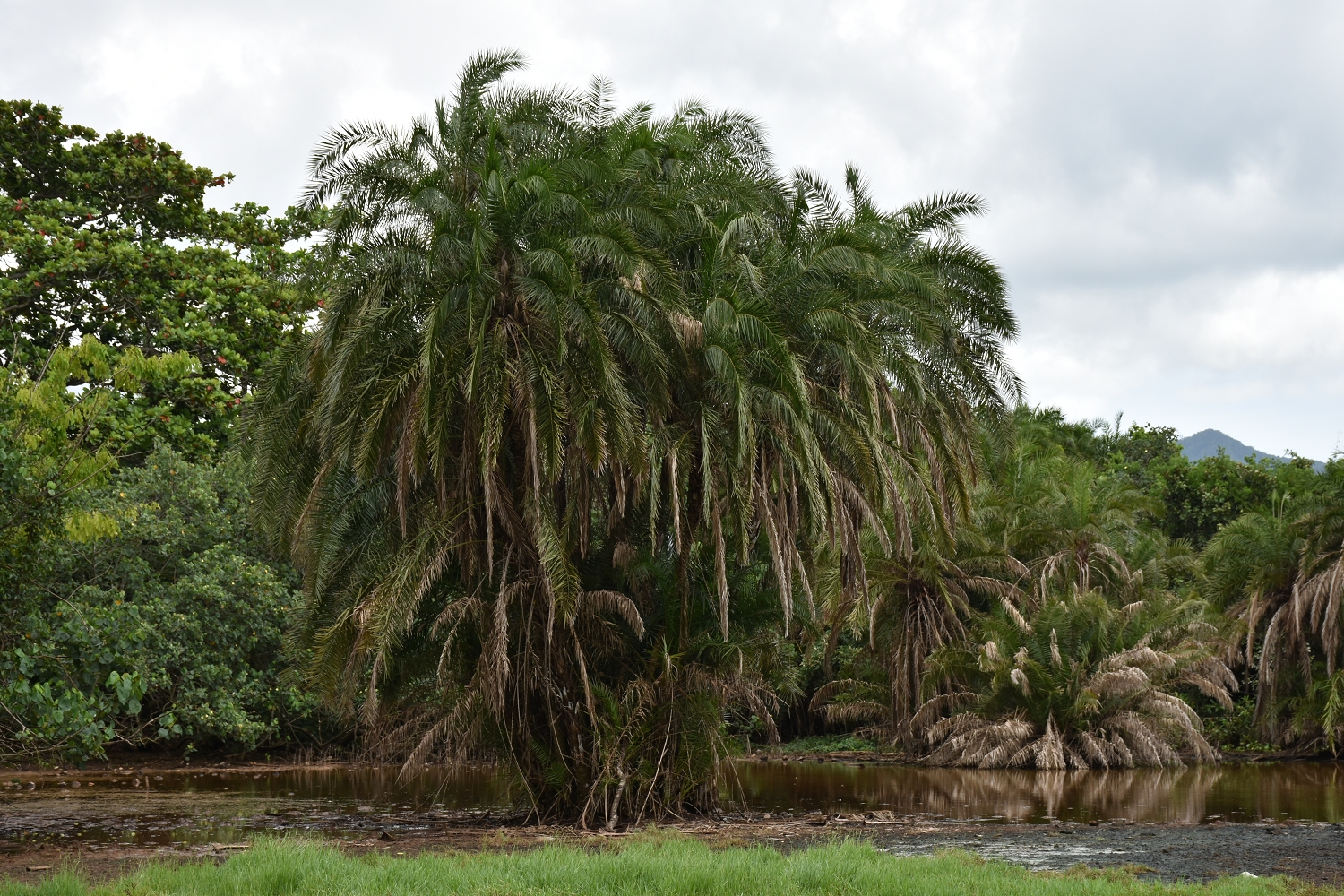 Mayotte