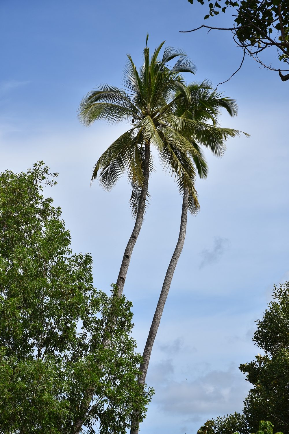 Mayotte