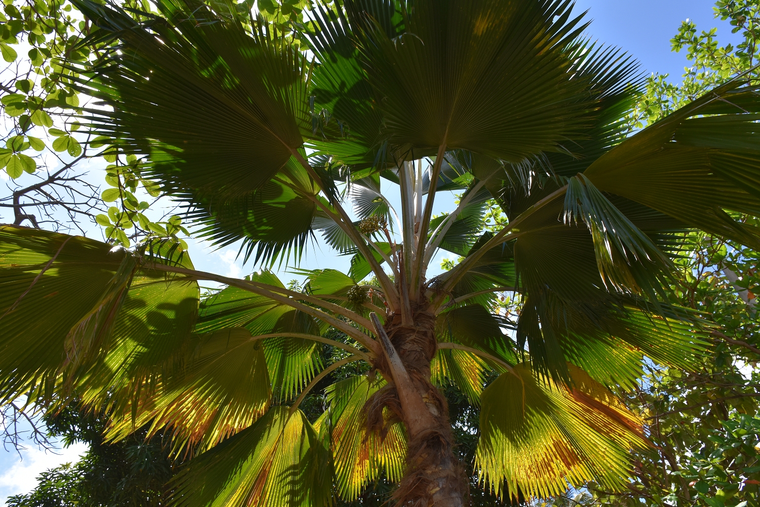 Mayotte