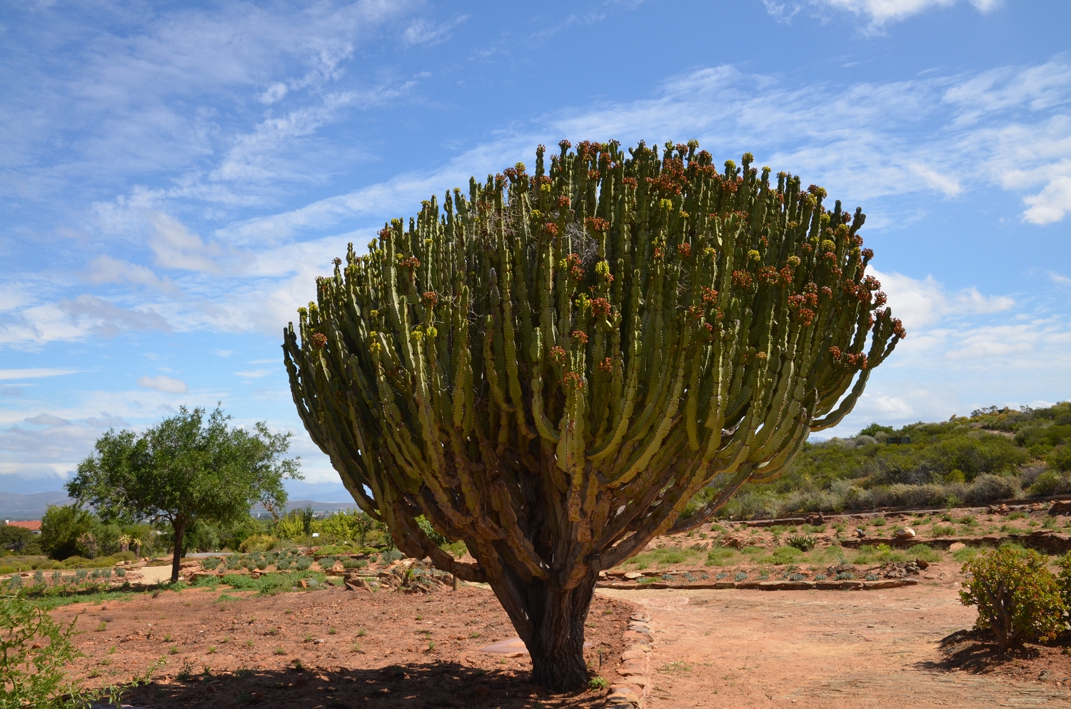 Afrique du Sud