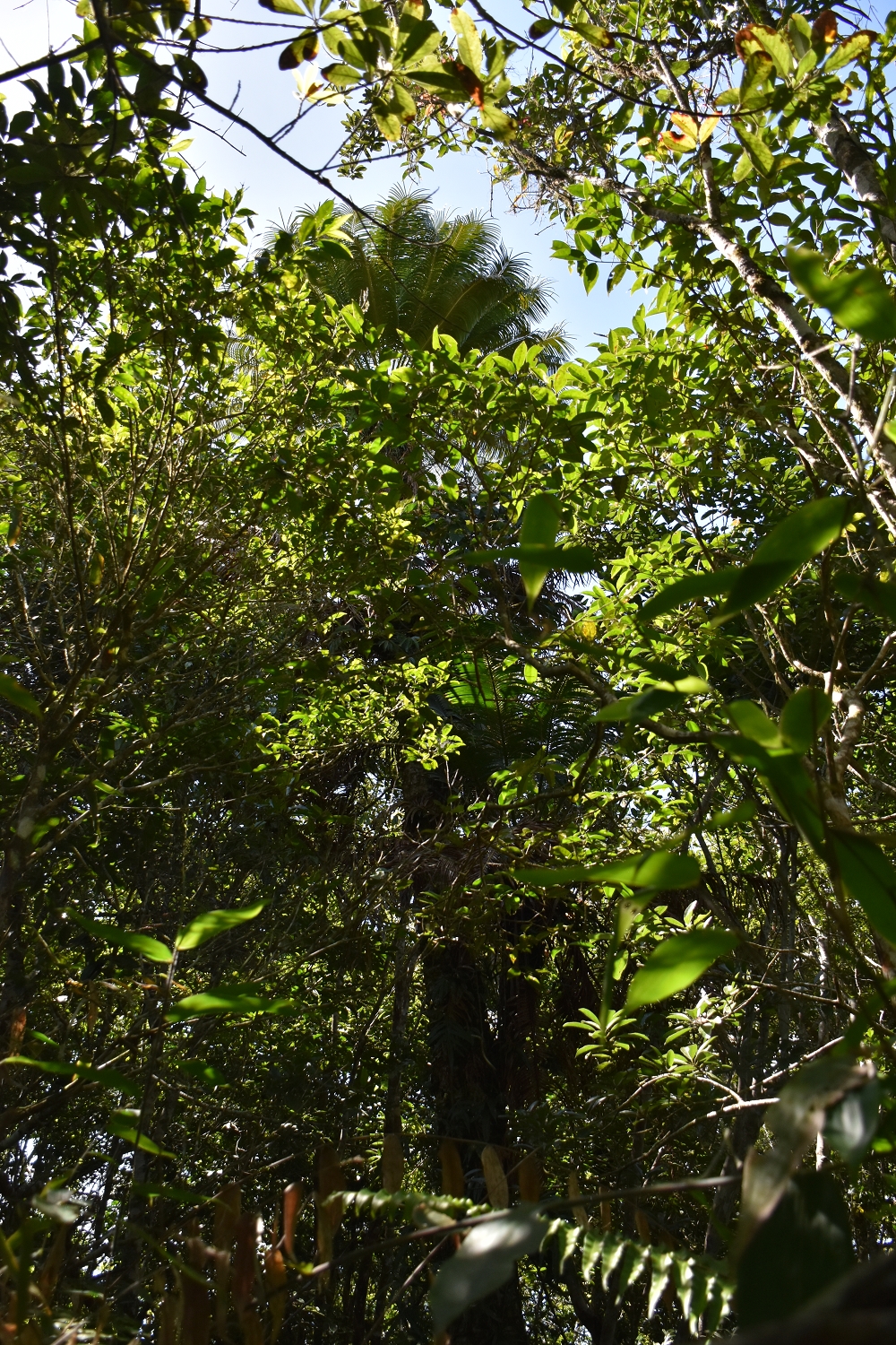 Mayotte