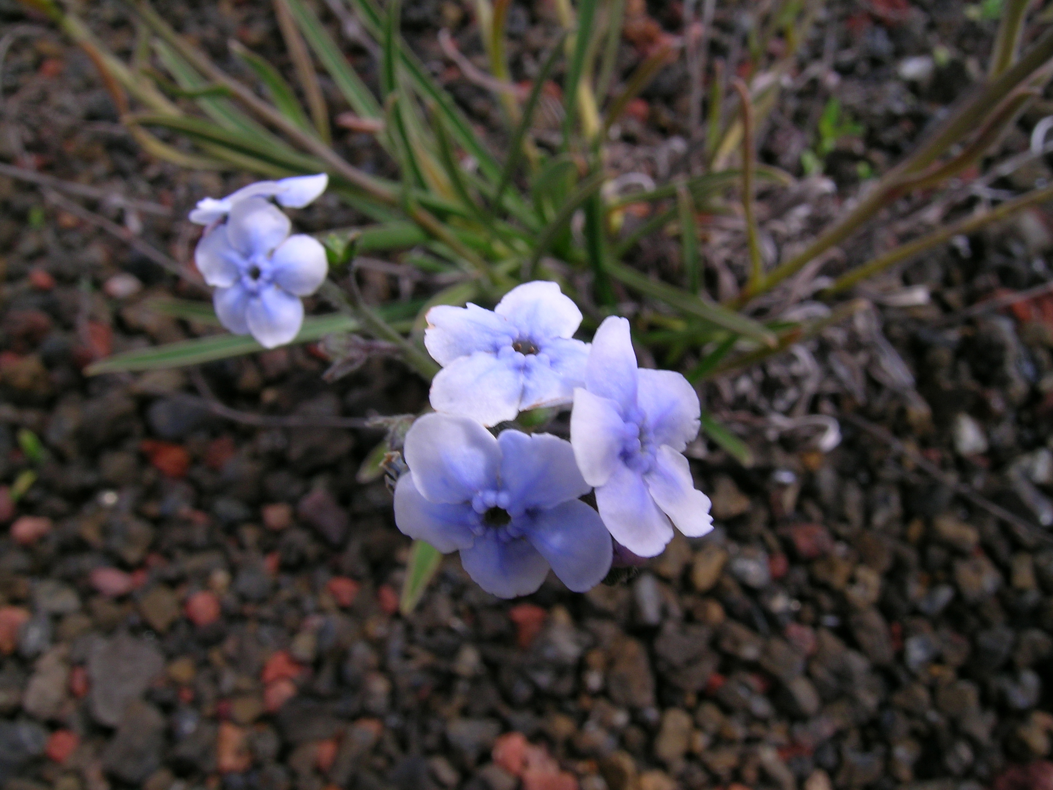 Ile de la Réunion