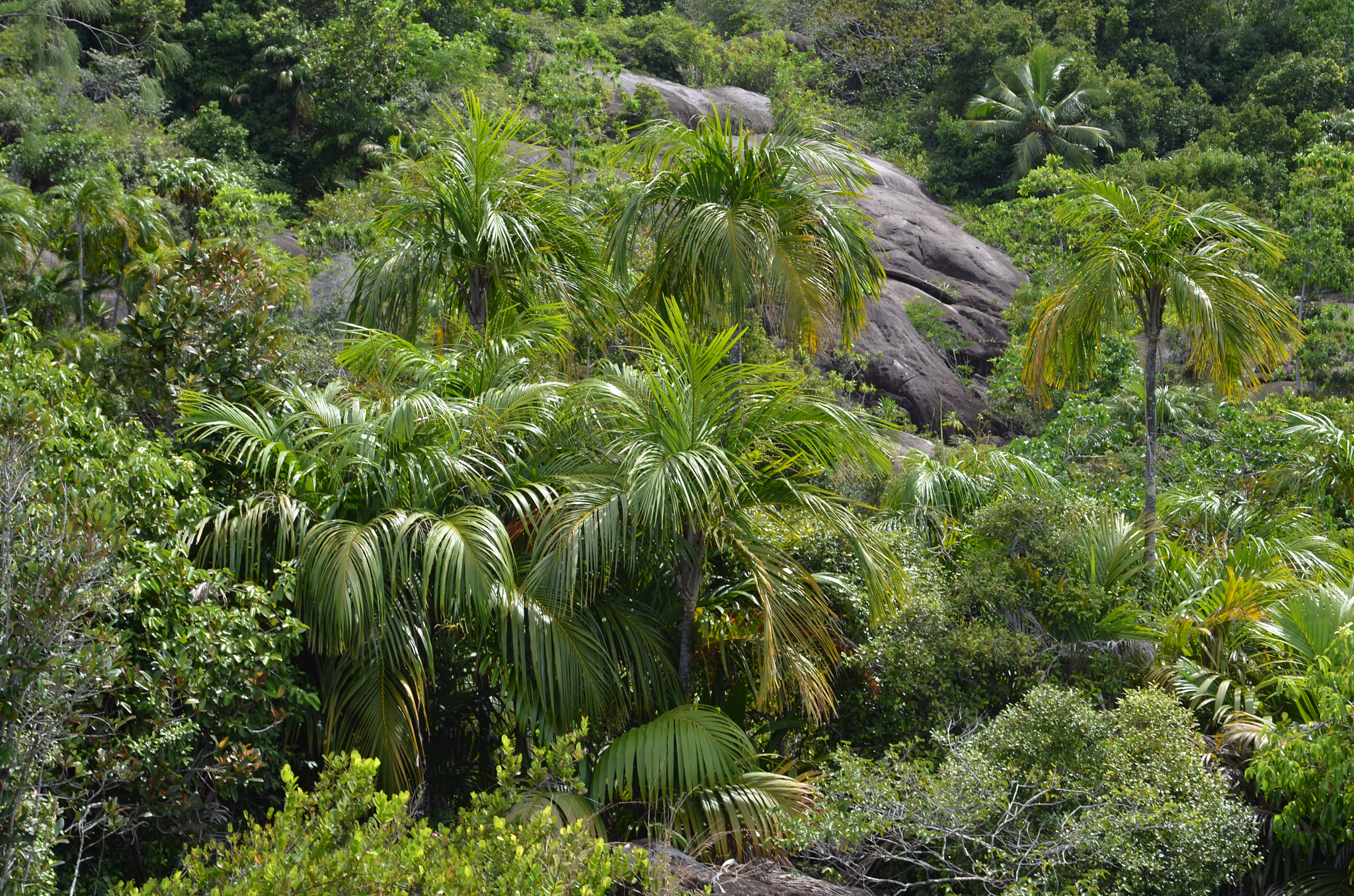 Seychelles