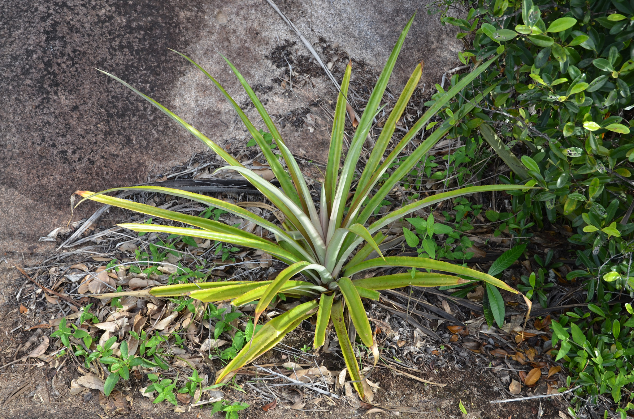 Seychelles