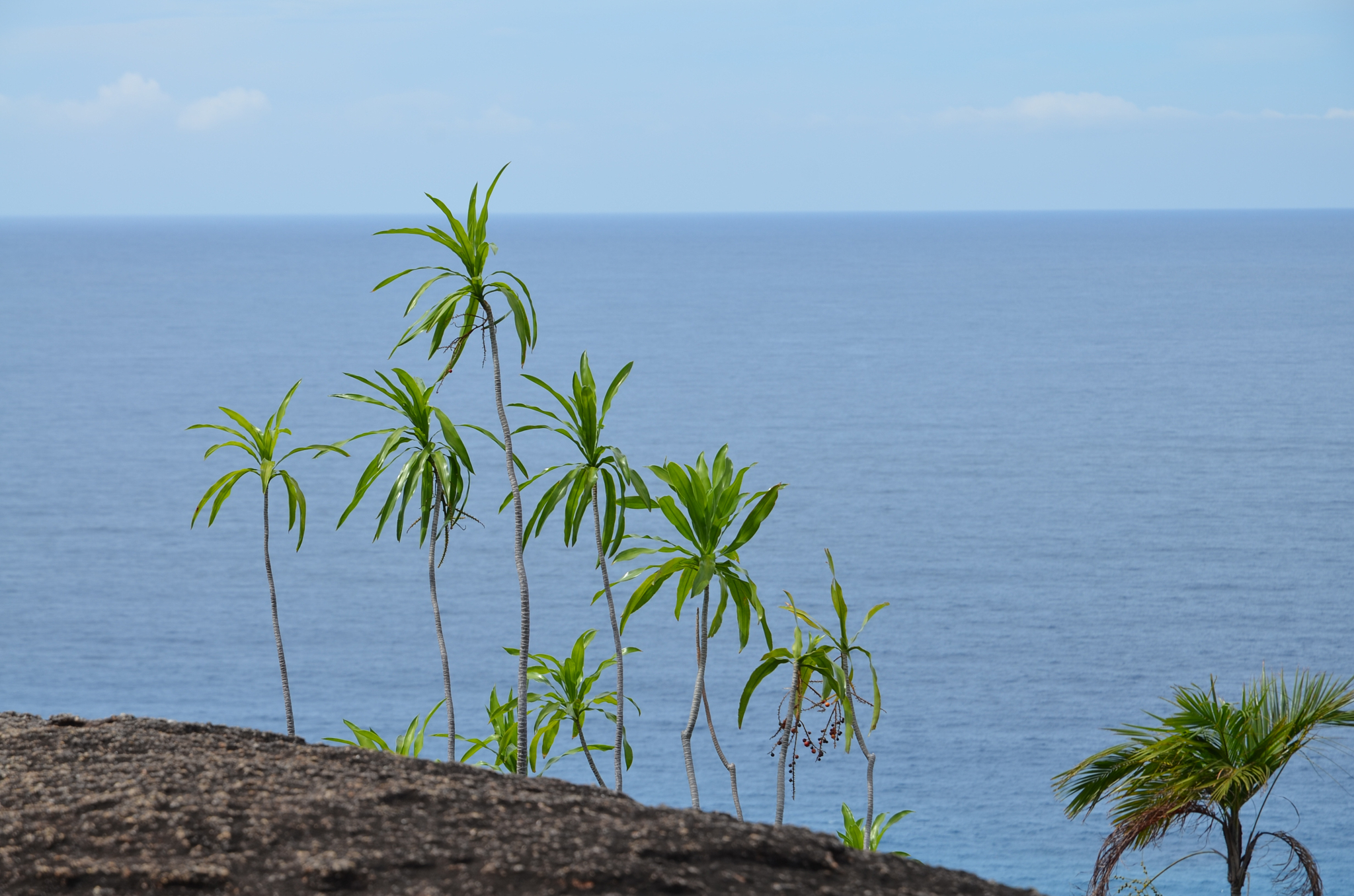 Seychelles