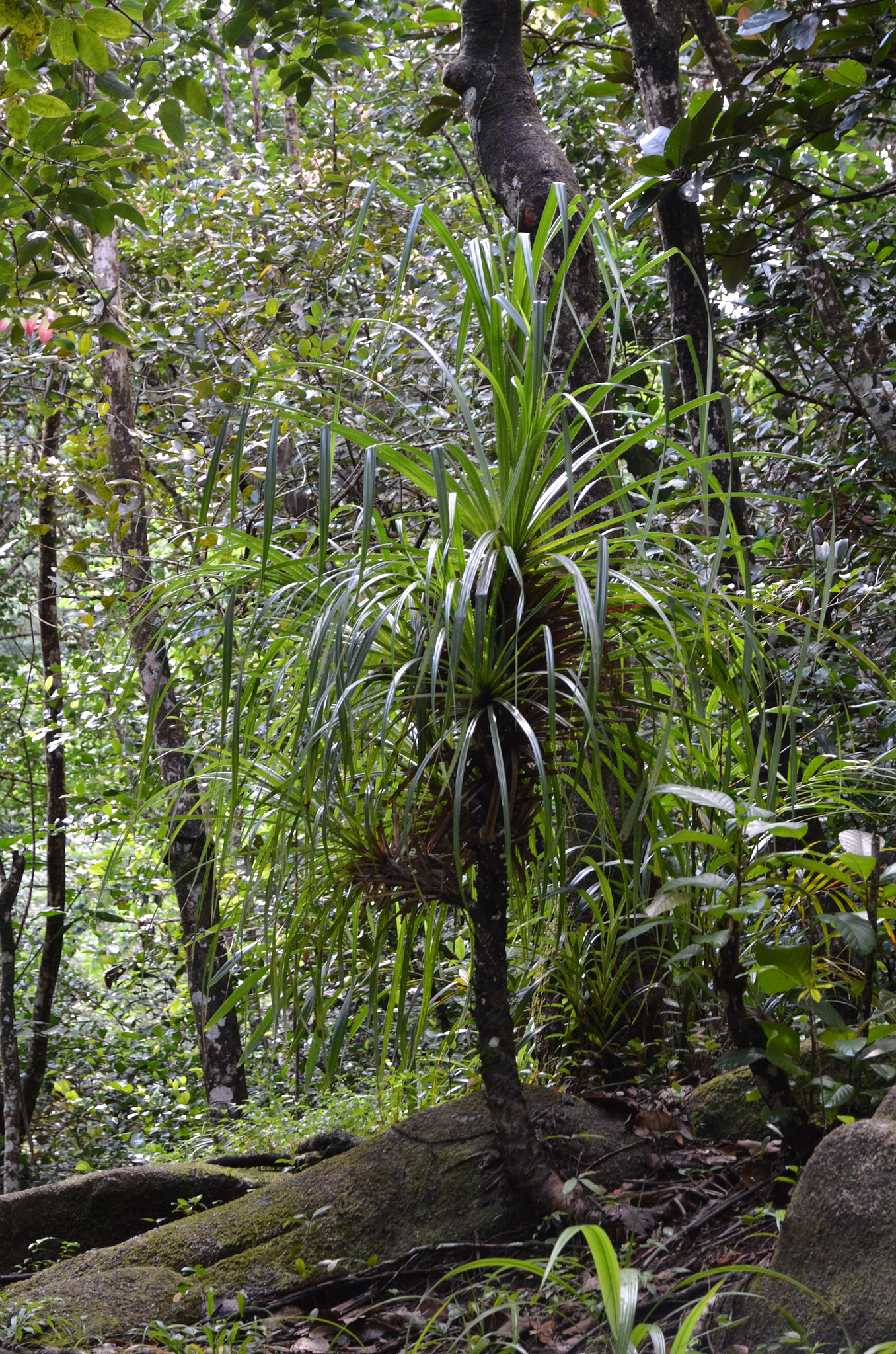 Seychelles