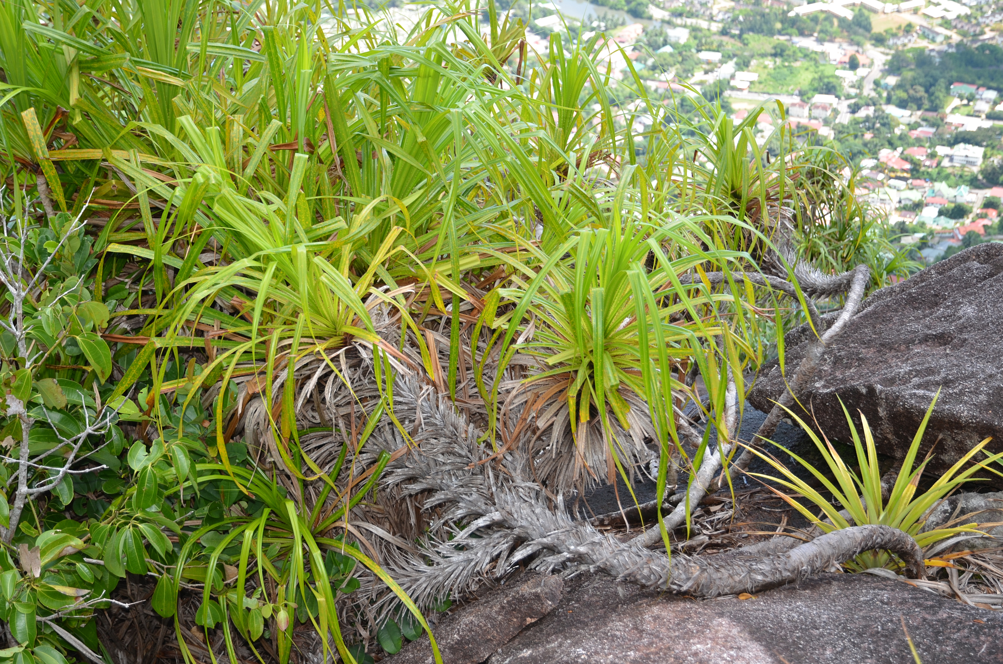 Seychelles