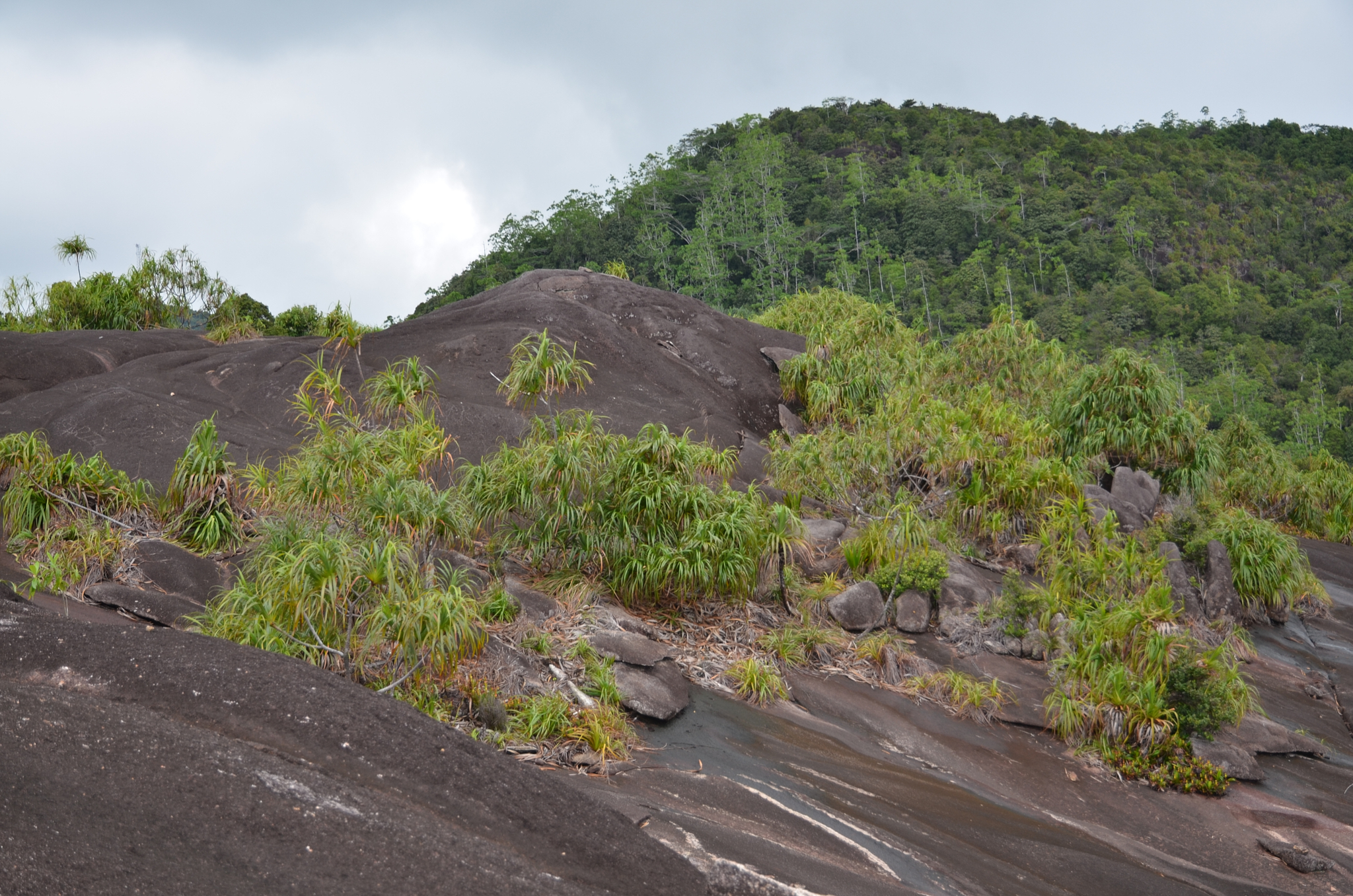 Seychelles