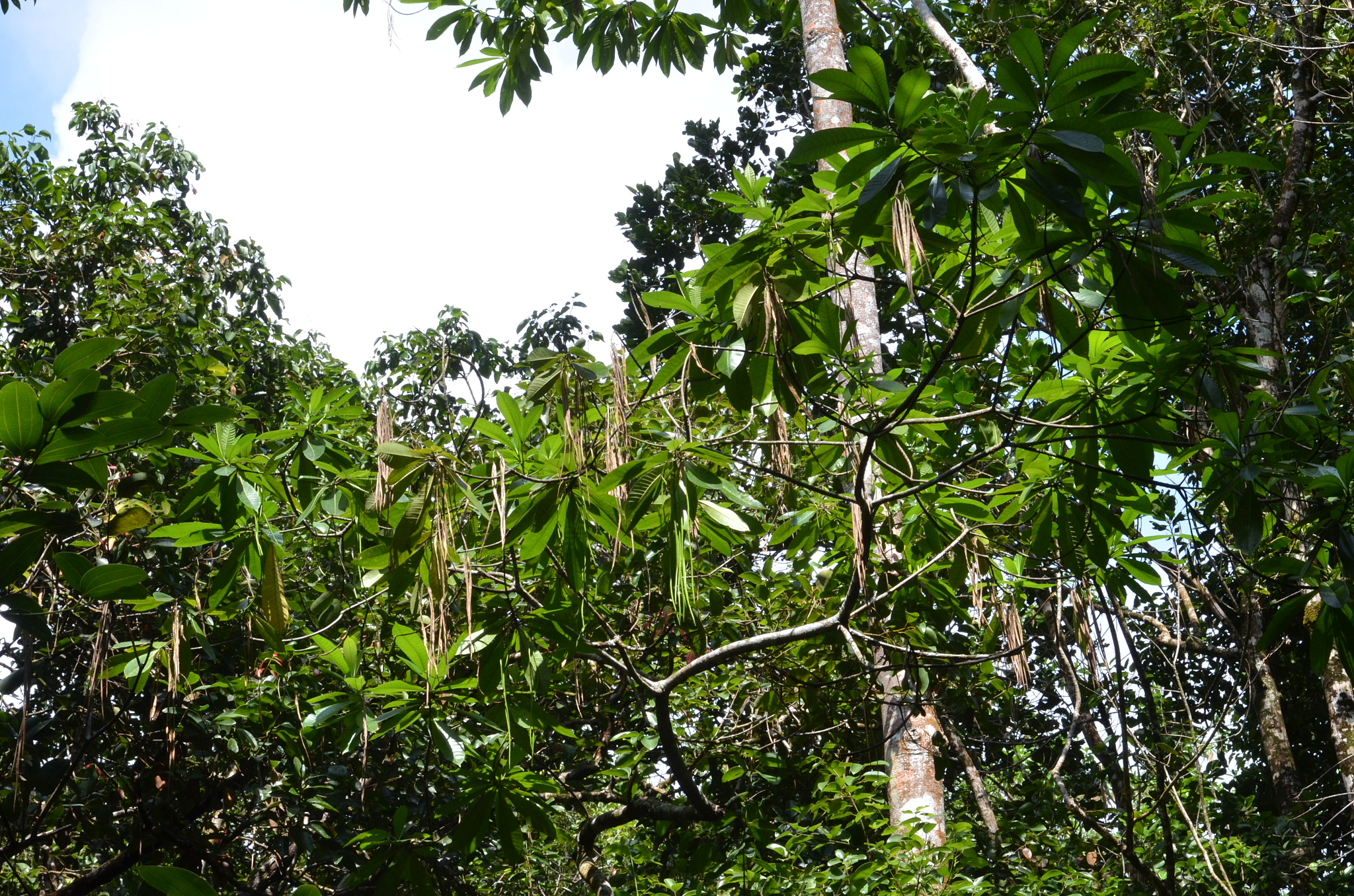 Seychelles