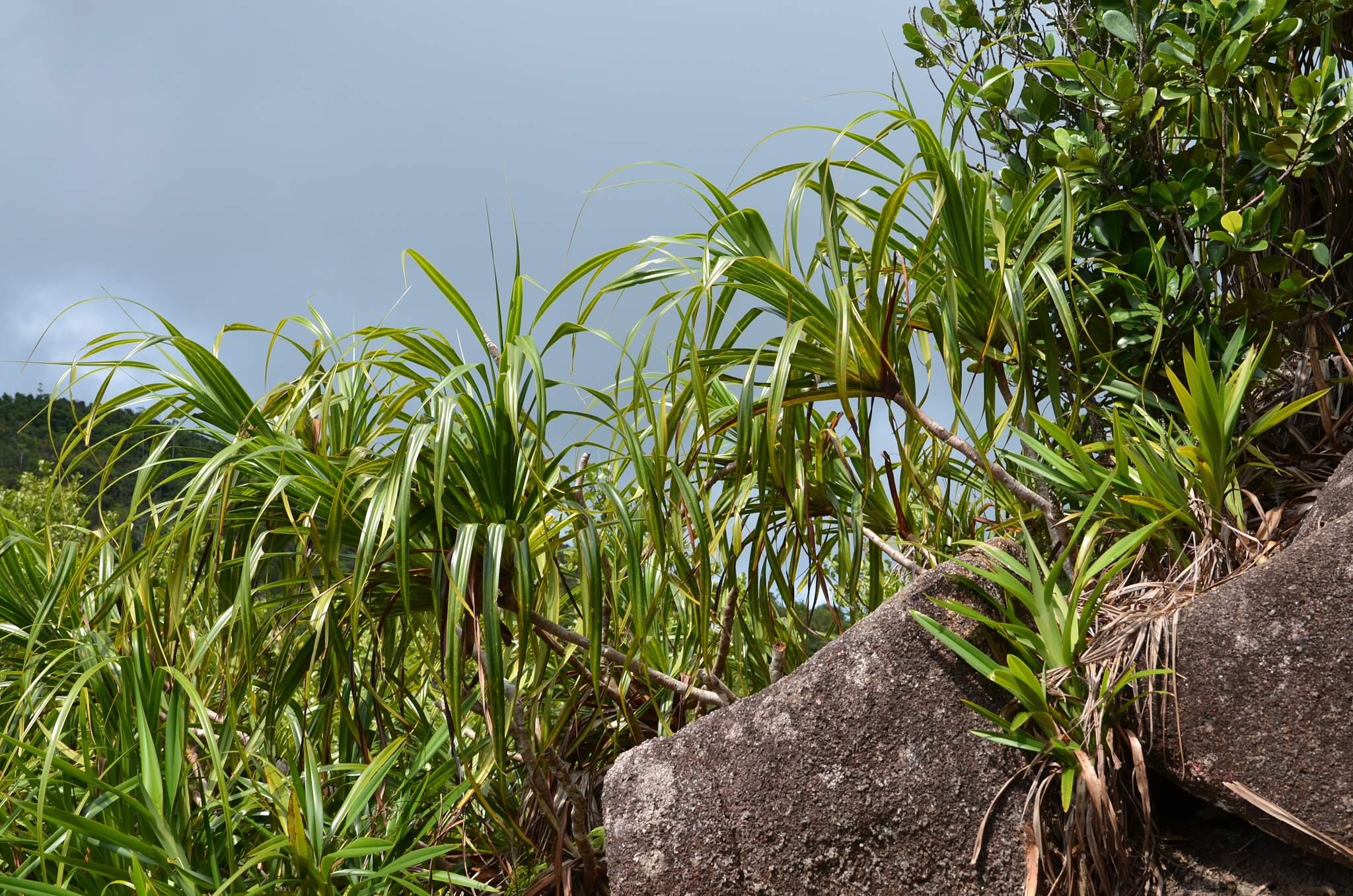 Seychelles