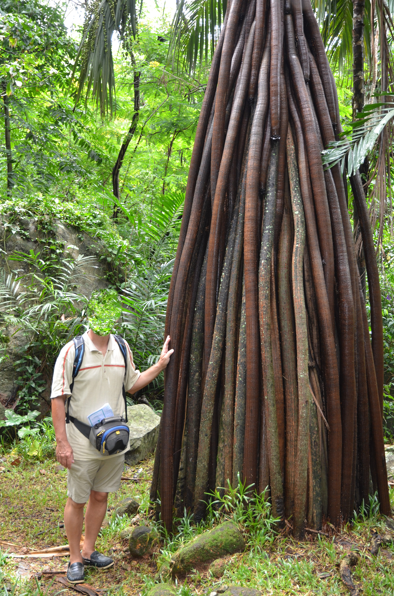 Seychelles