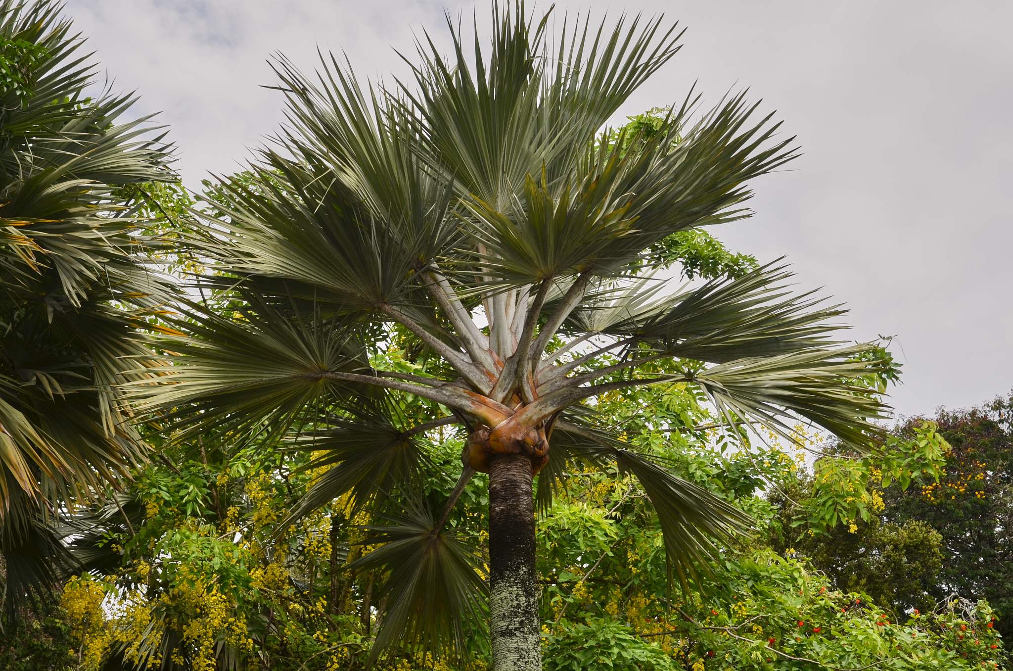 Seychelles