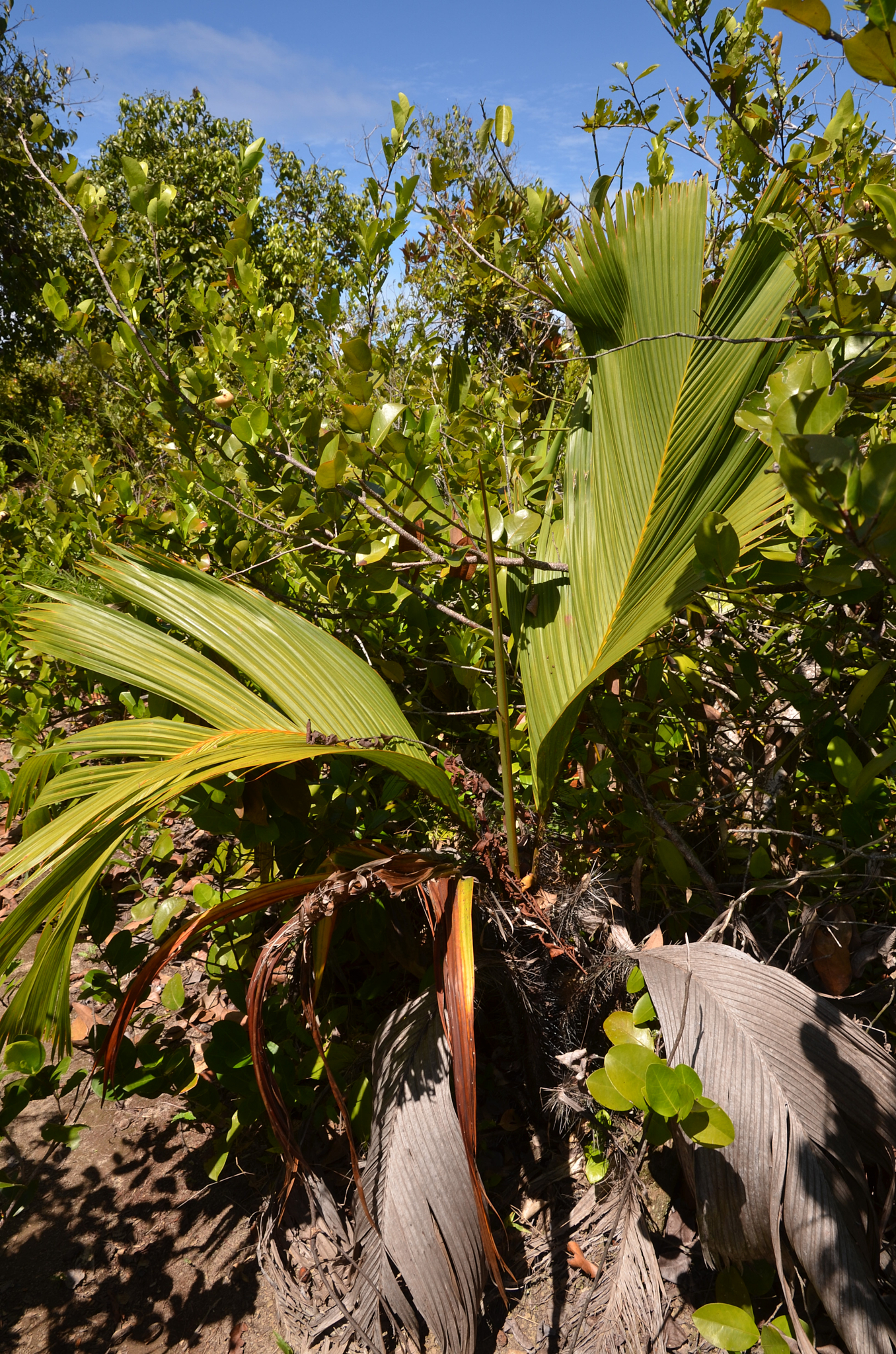 Seychelles