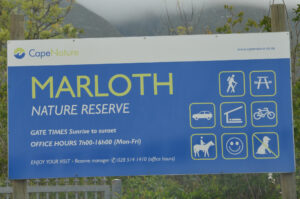 Marloth Nature Reserve - Western Cape - Afrique du Sud