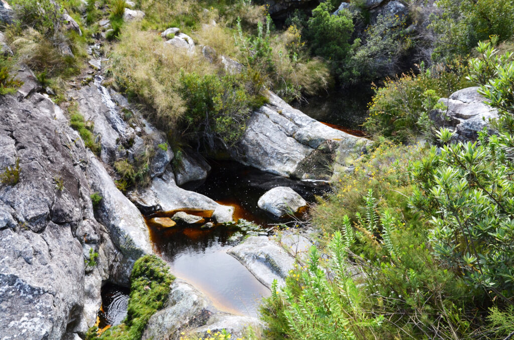 Afrique du Sud