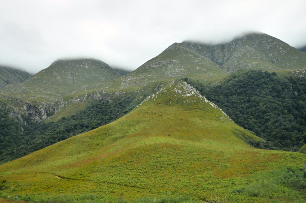 Afrique du Sud