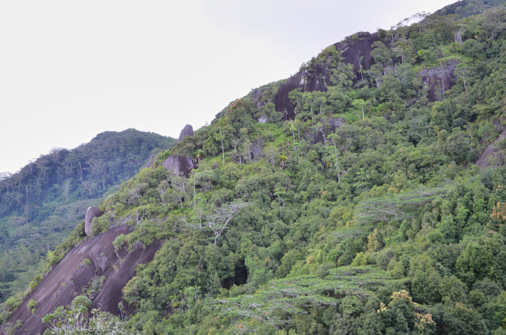 Seychelles