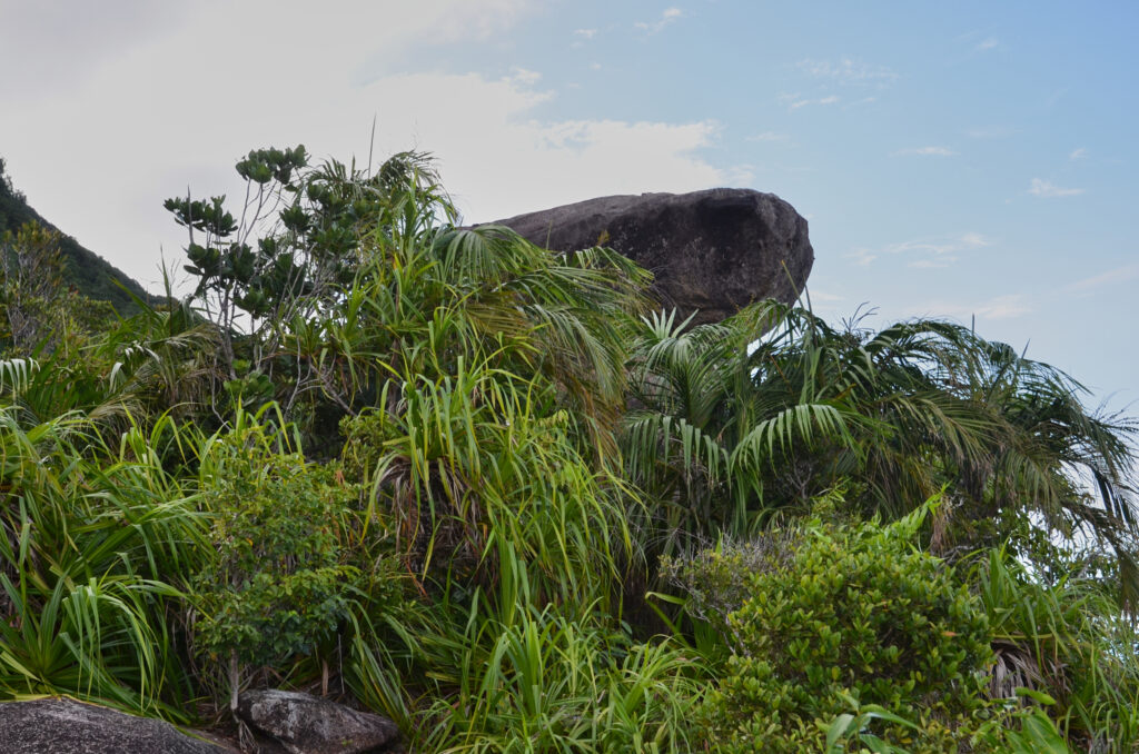 Seychelles