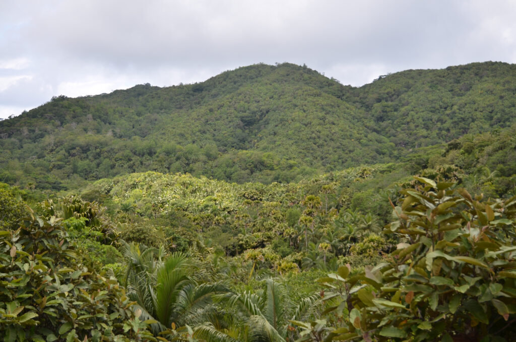 Seychelles