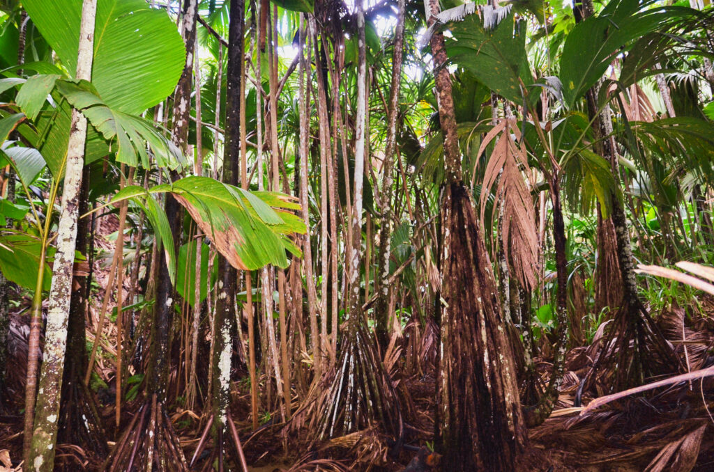 Seychelles