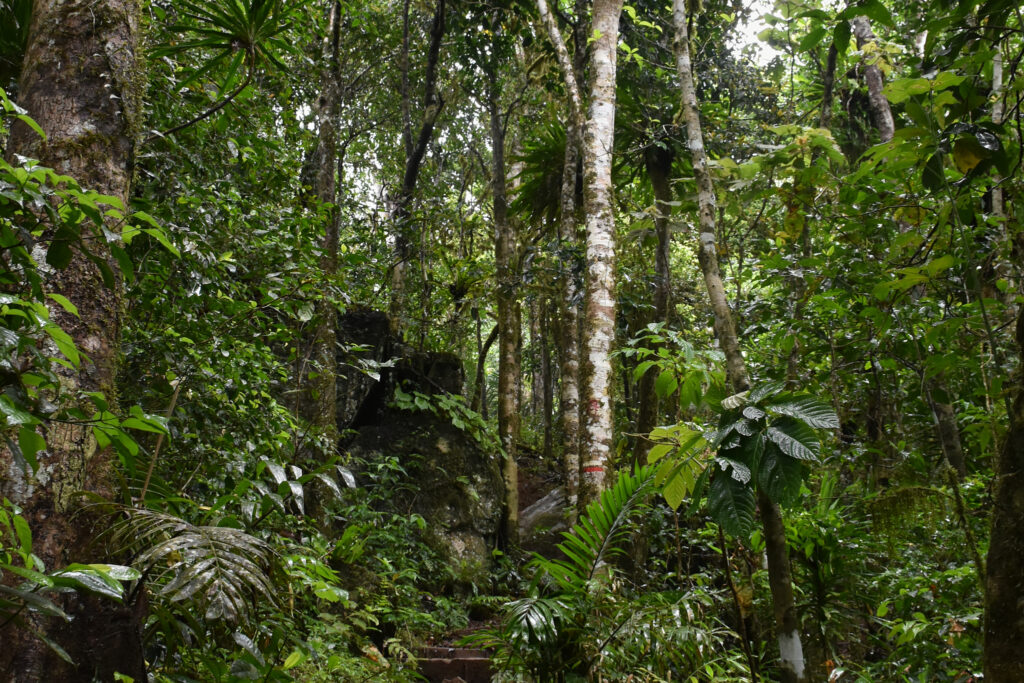 Mayotte