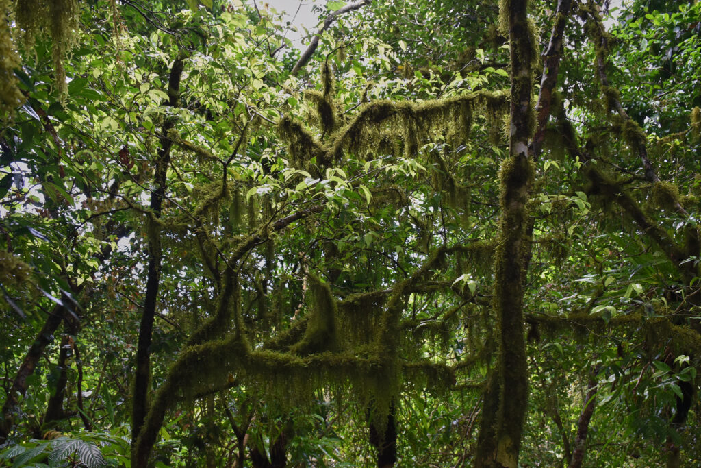 Mayotte