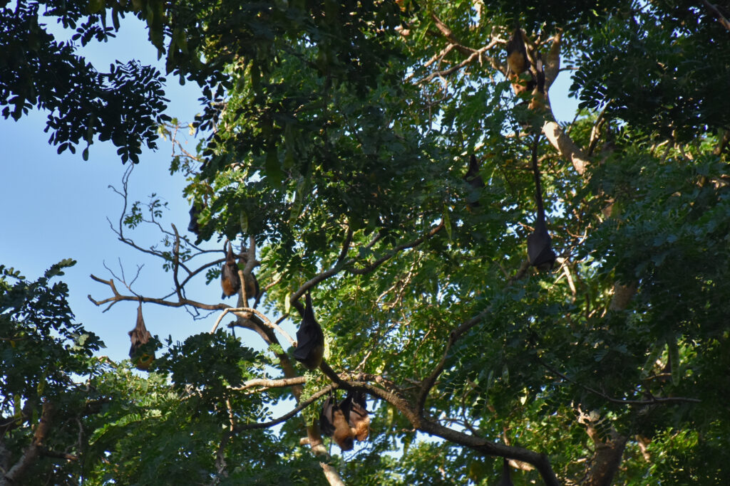 Mayotte