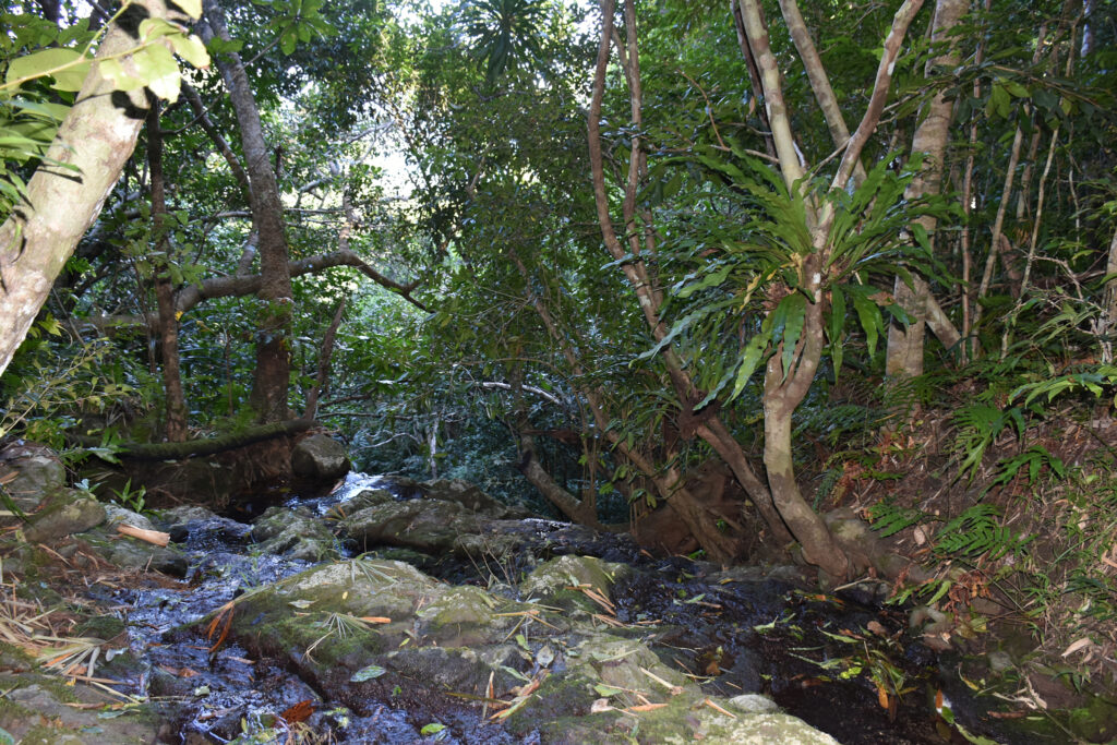 Mayotte