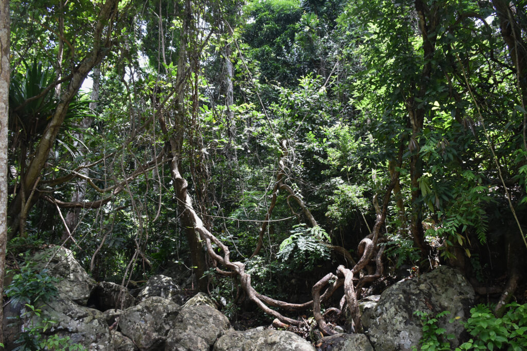 Mayotte