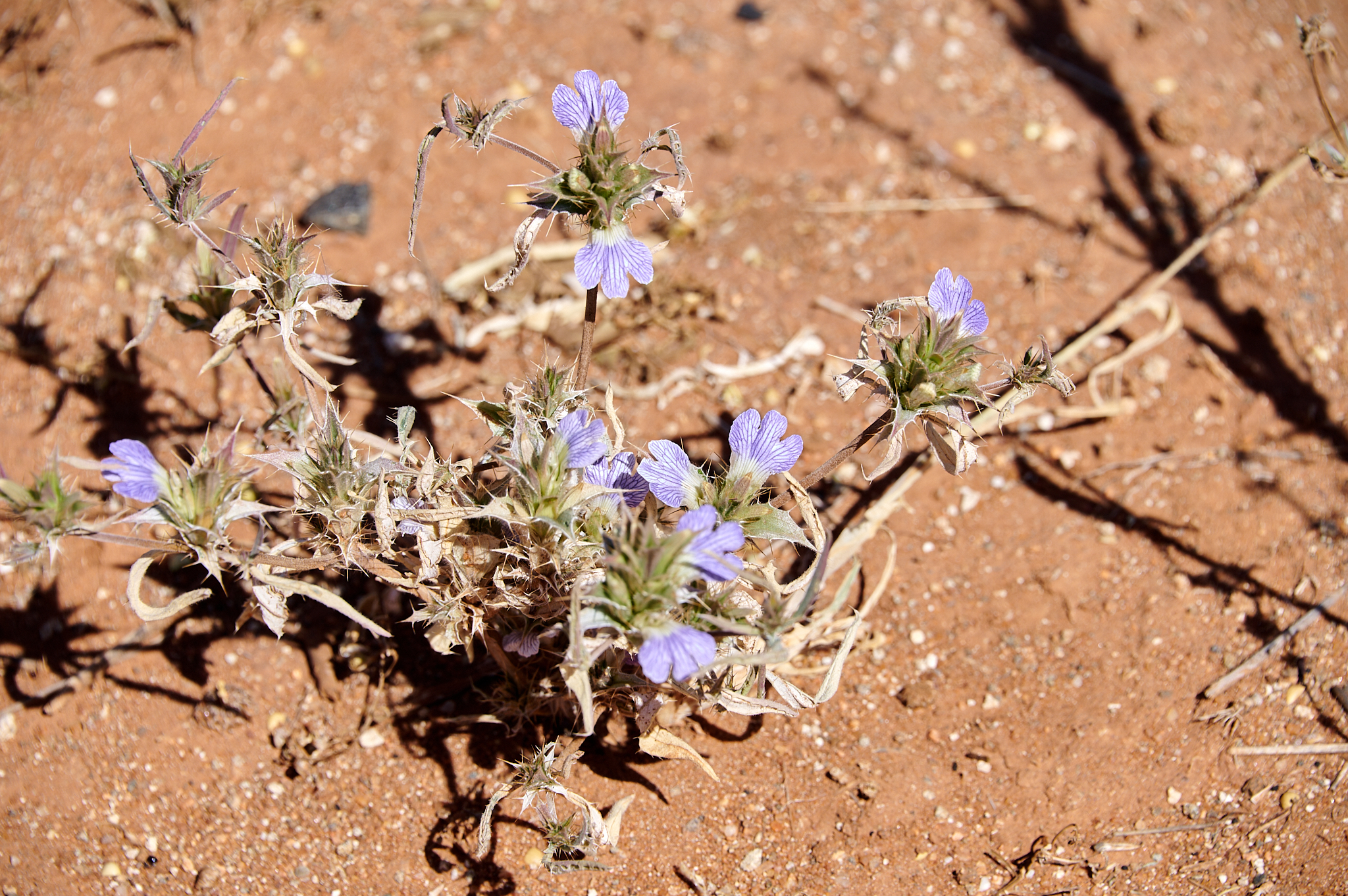 Namibie