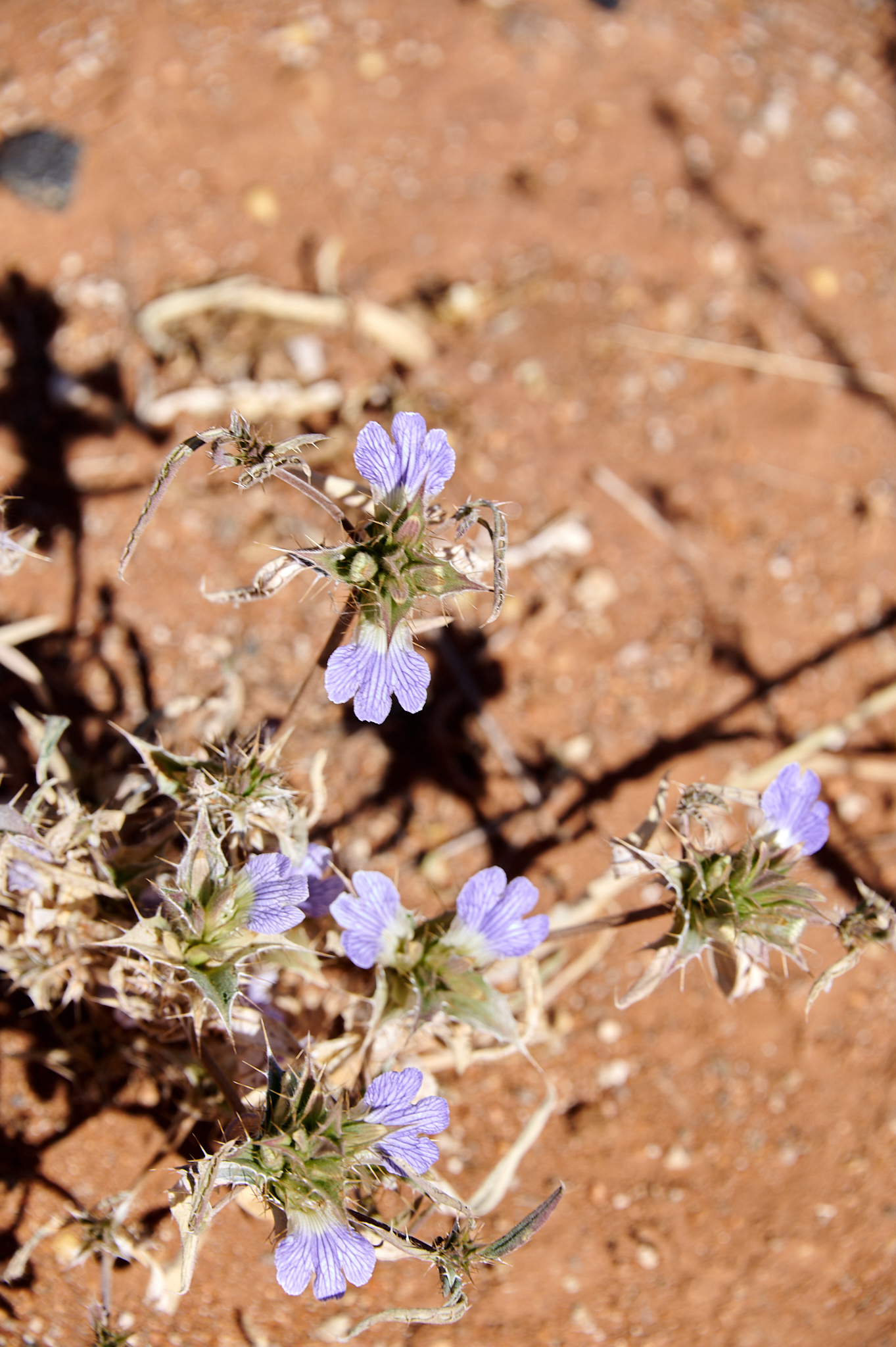 Namibie