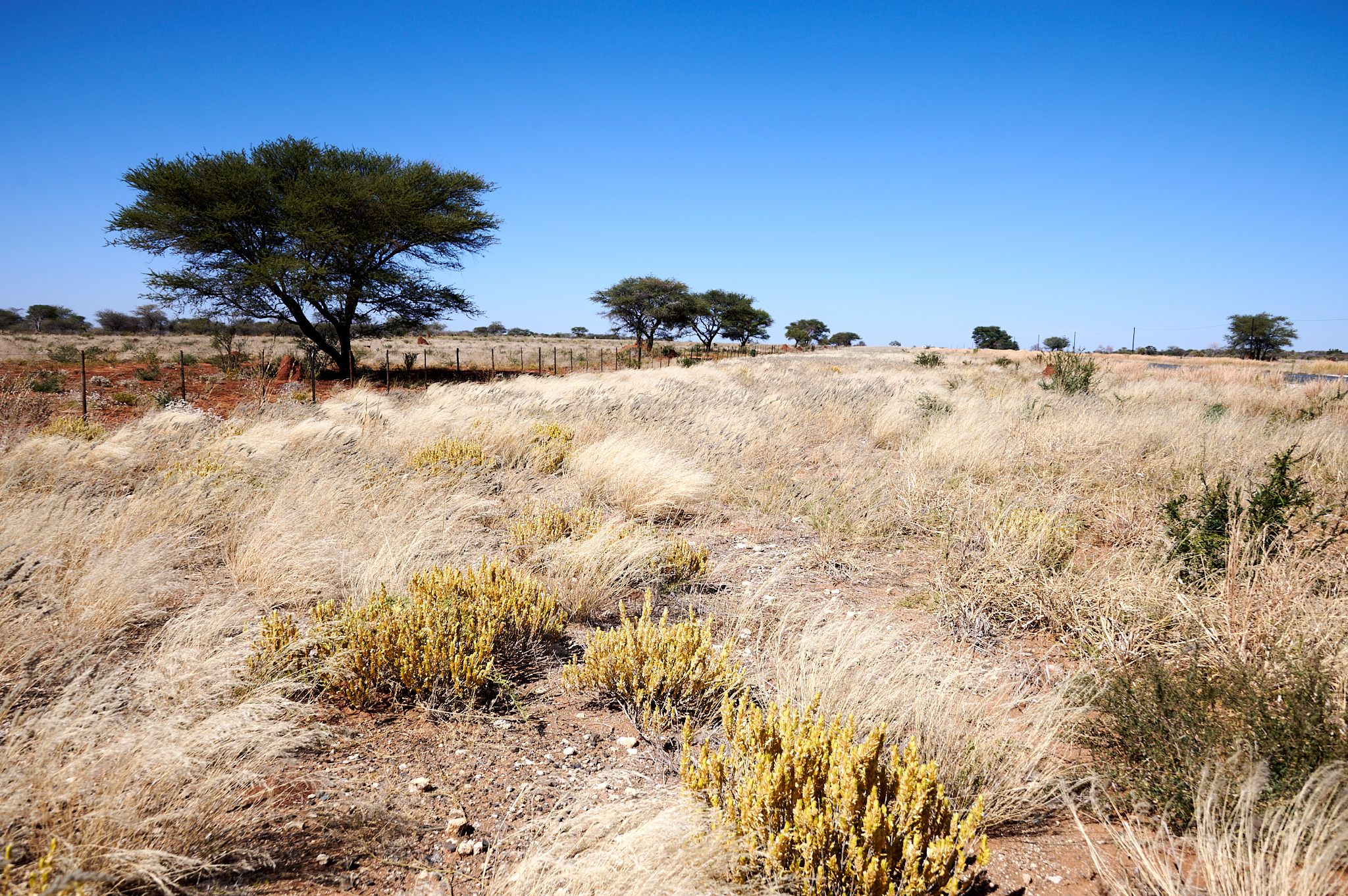 Namibie