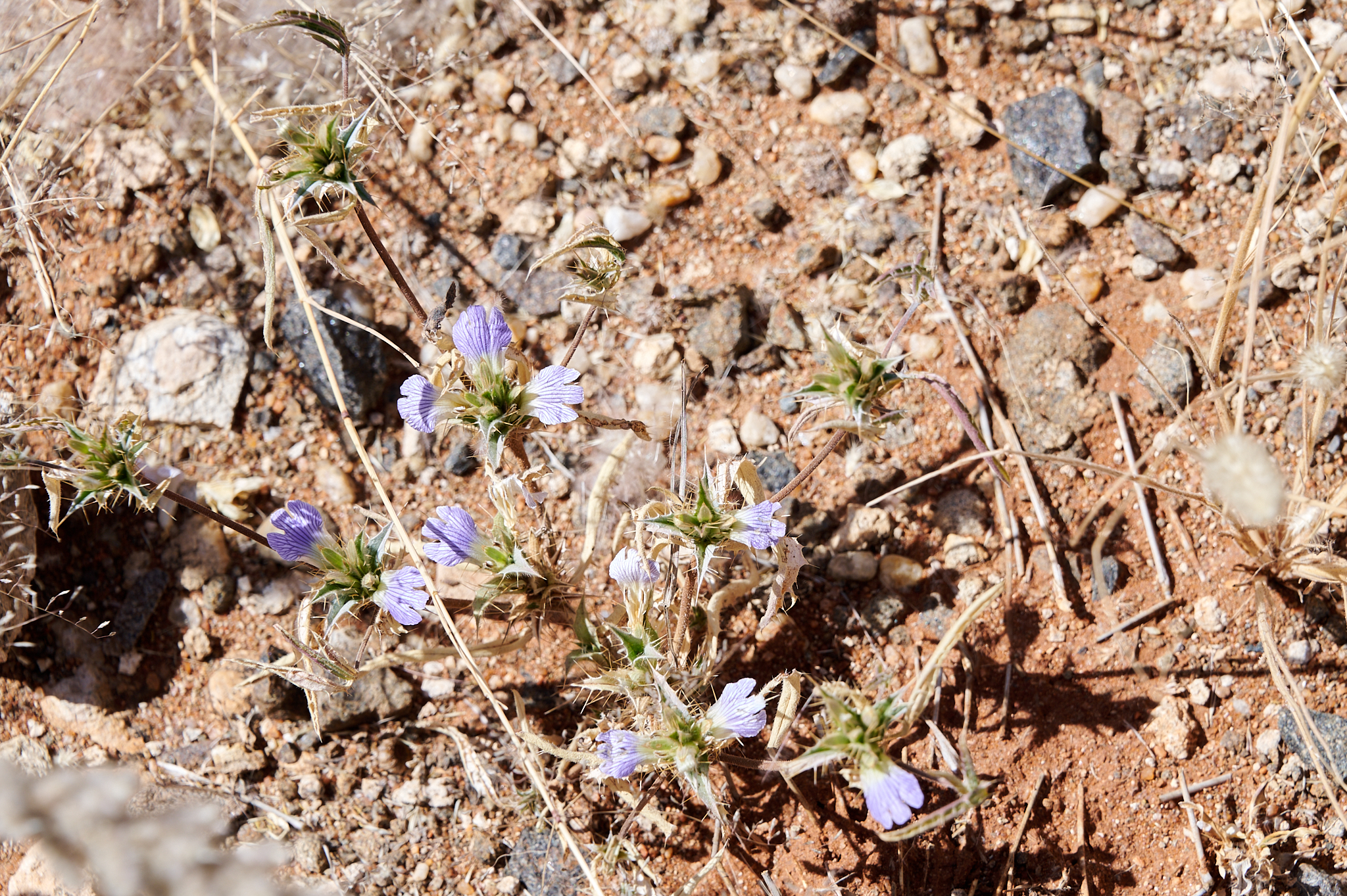 Namibie