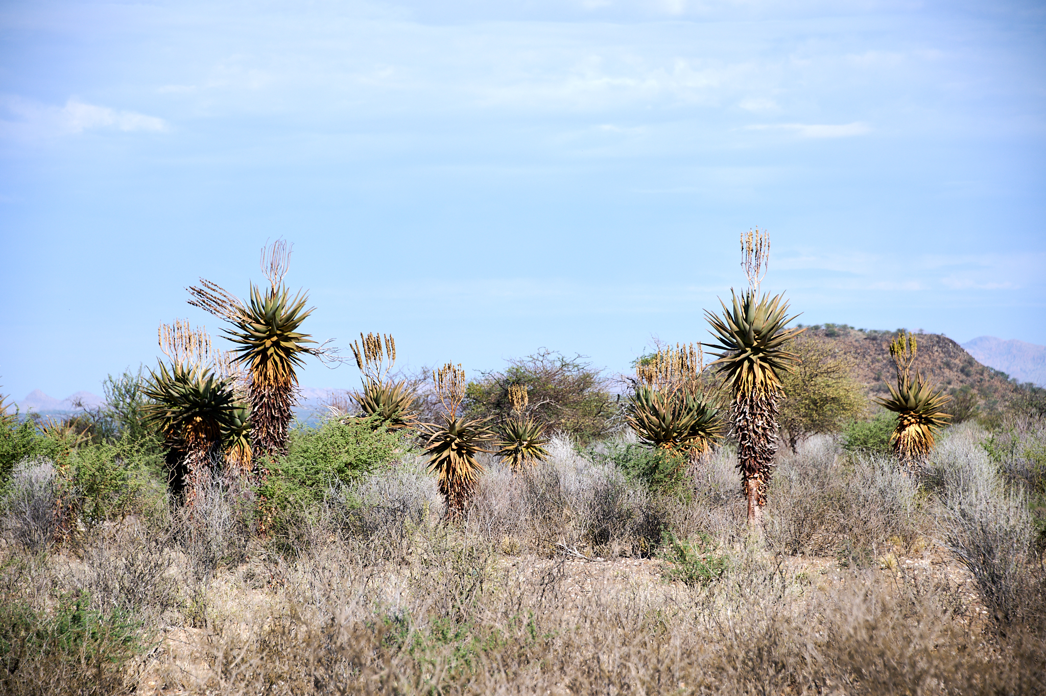 Namibie