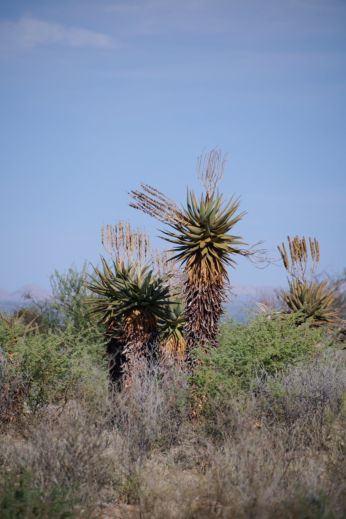 Namibie