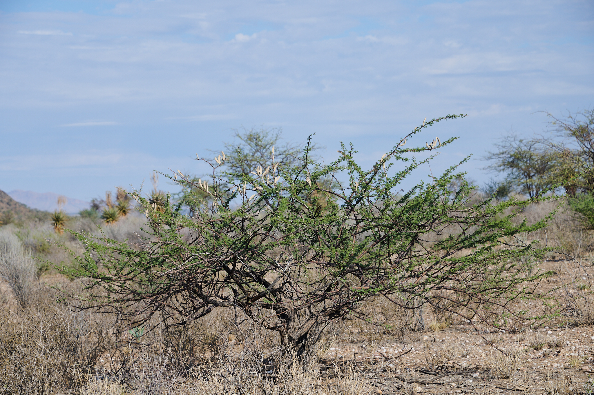 Namibie