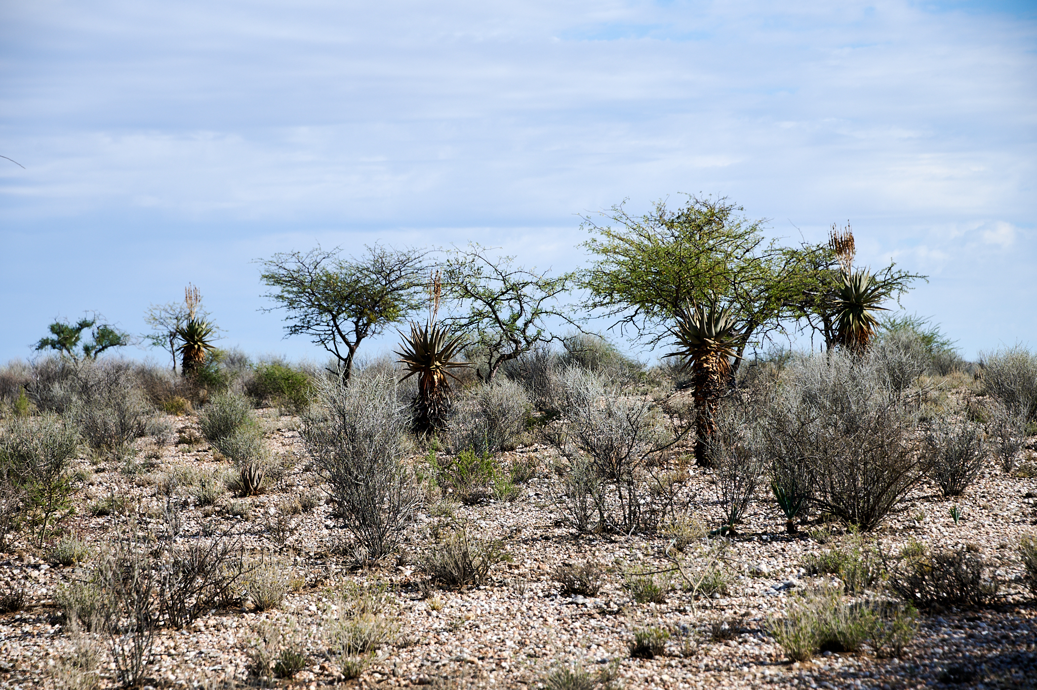 Namibie