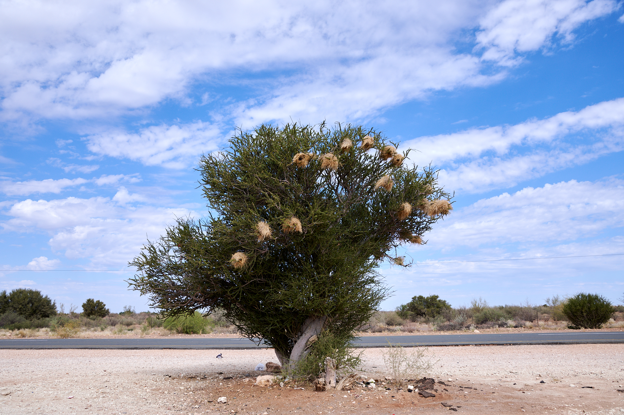 Namibie