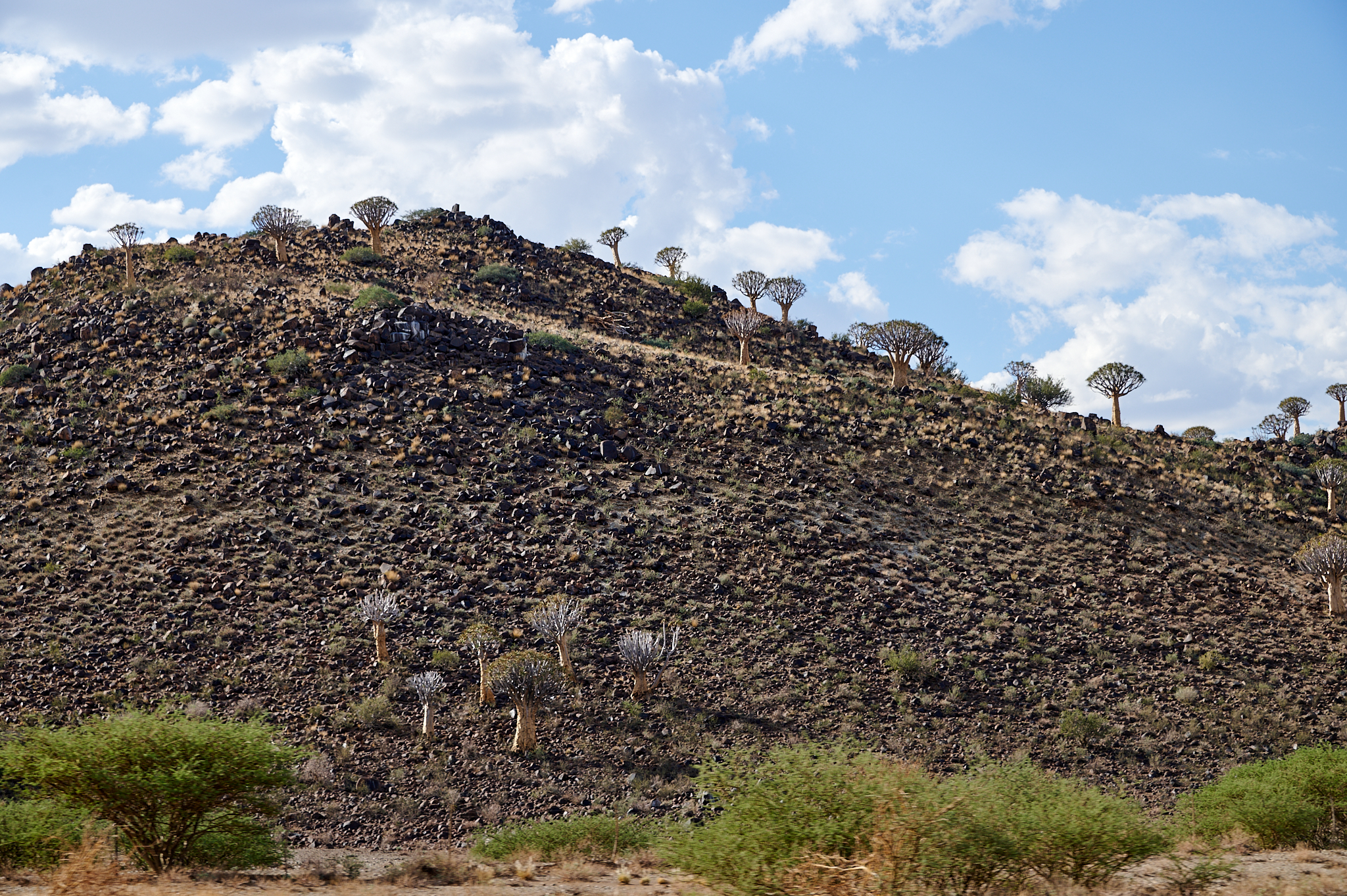 Namibie