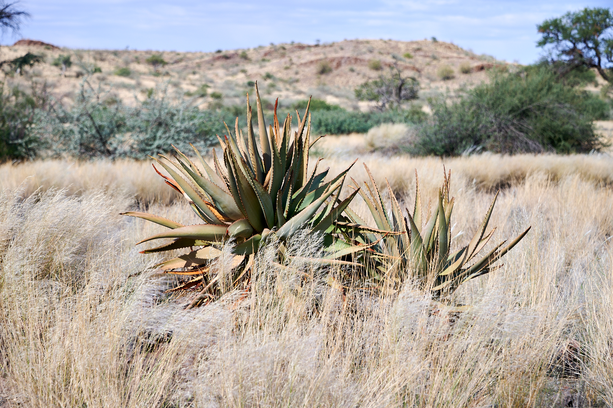 Namibie