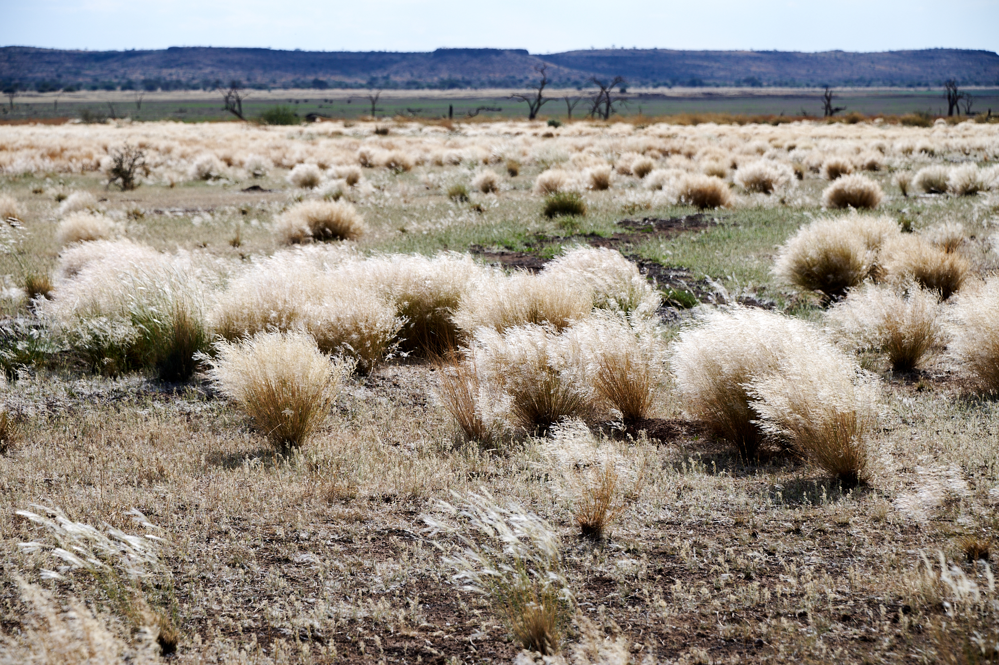 Namibie