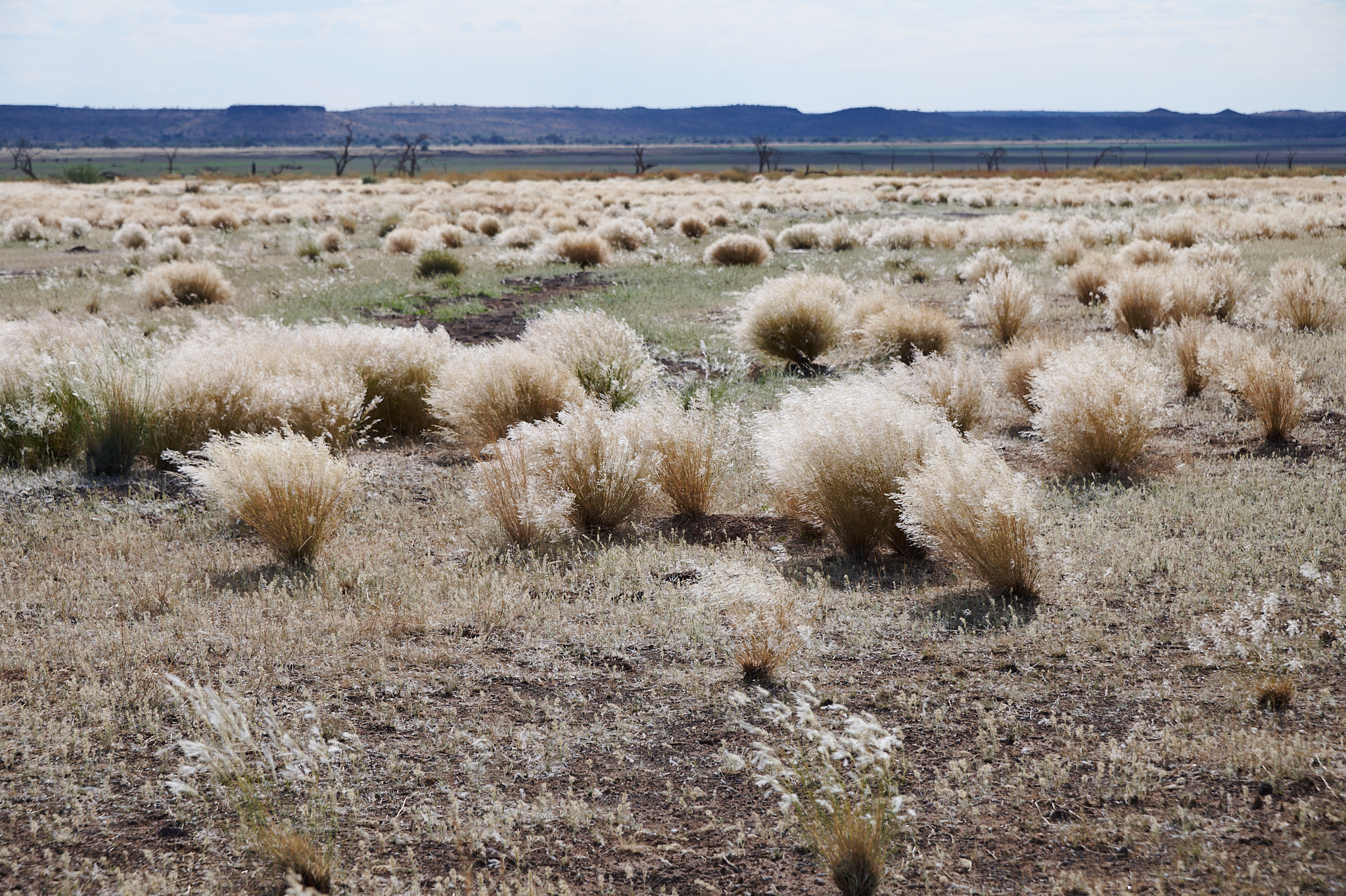 Namibie